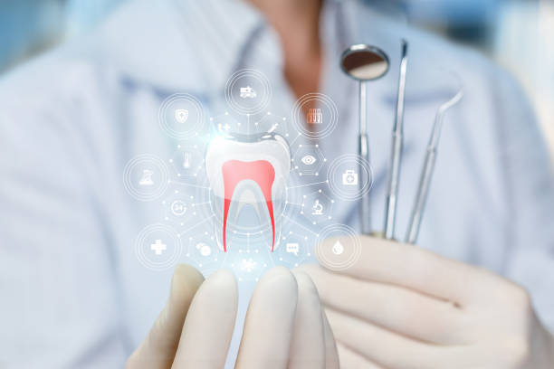 Best Full Mouth Reconstruction  in Donna, TX